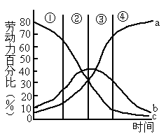 人口金字塔合理比例_中国人口金字塔比例图(2)