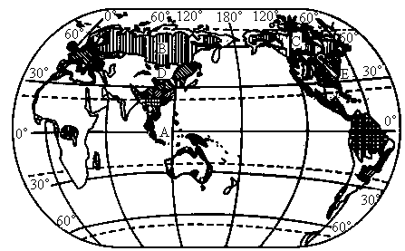 世界植被分布图简图图片