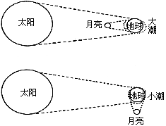 (2)b处月相出现的日期为农历 十五.十六