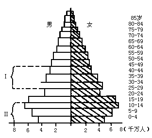 人口主要特点_世界人口分布特点(3)