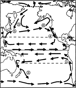 下图为太平洋洋流分布示意图读图完成1~3题