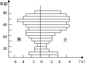 上海人口金字塔图片