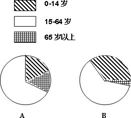 人口普查年龄构成_人口普查年龄结构图