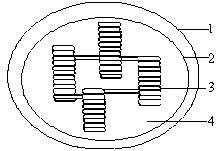 下图示叶绿体的亚显微结构供选答案中除哪项外均正确