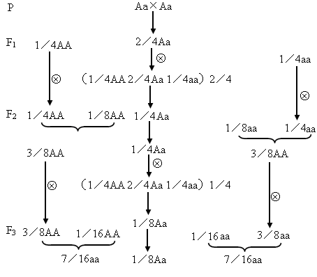 逐代自交3次在代中纯合子比例为 [ ] a1/8b7/8 c7/16d