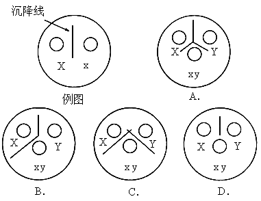 研究这种反应的方法之一是用琼脂双重扩散法