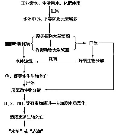 太湖流域水质富营养化严重水体发绿发臭的现象时有发生