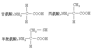 丙氨酸结构简式图片图片