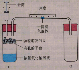Image22.gif