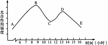 下图是夏季睛朗白天某植物叶片光合作用强度的变化曲线,观察后回答
