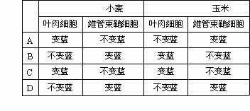 选择育种利用什么原理_詹森育种原理公式图解(2)