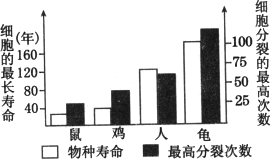 老鼠模拟人口实验_老鼠实验图片(2)