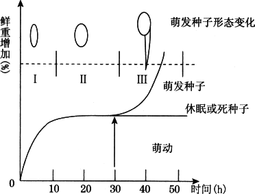 大豆种子萌发示意图图片