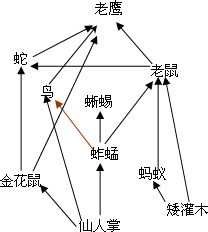 图示某生态系统的食物网