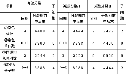 下图表示马蛔虫体细胞含有2对同源染色体的细胞分裂等生理过程据图