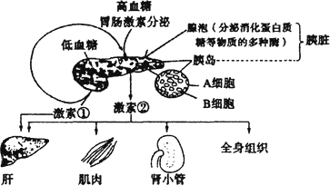 Image26.gif