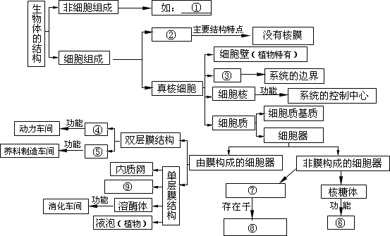 请根据所学知识,完成有关生物体的结构相关的概念图