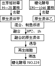 植物细胞融合依据的生物学原理是什么