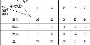 Image19.gif