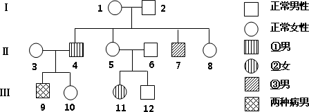 生物染色体遗传树状图图片