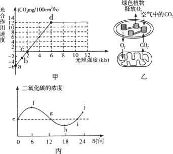 EL光触氧保鲜是什么原理_幸福是什么图片(2)