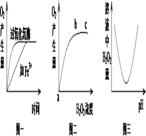 生物化学中的gdp图_第二十二章 癌基因与抑癌基因