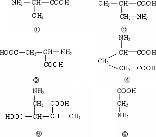 氨基酸脱水缩合反应式图片