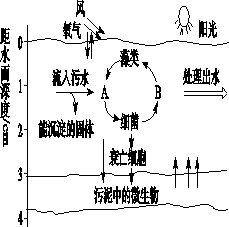 池塘征收按人口还是面积_池塘图片卡通(2)