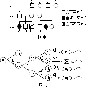 生物染色体遗传树状图图片