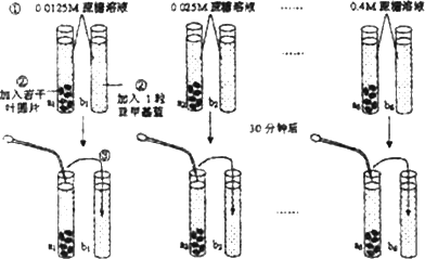 虹吸原理吸管水吸到什么程度_吸管运水虹吸实验照片(3)