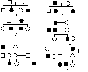 生物染色体遗传树状图图片