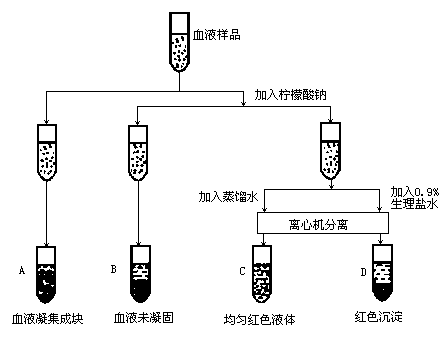 b型血占人口比例_黄金比例(3)