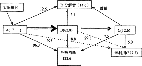 乳酸等dbcd中有生態系統的能量流動圖解能量流動圖解能量流動圖解詳細