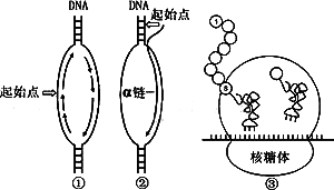 Image13.gif