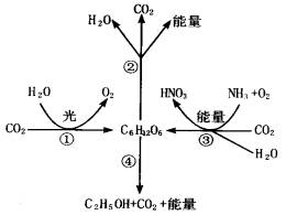 人口结构定律_墨菲定律图片(3)