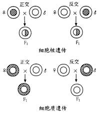 image002.jpg