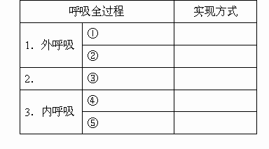 用a自养型b异养型c需氧型d厌氧型填空