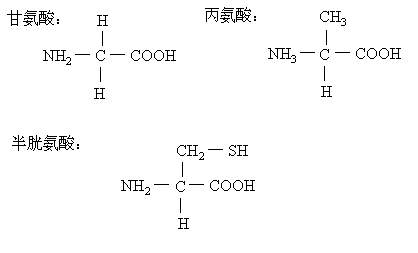 丙氨酸的结构简式图图片