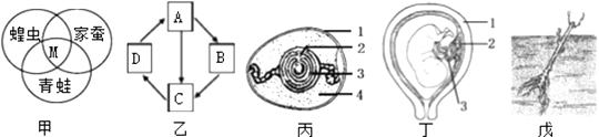 [题目]玉林市某校生物科技活动小组对本校学生及其父母能卷舌和不能卷舌的遗传情况进行抽样调查.得到如表数据．请根据表中的内容及所学的相关知识填空 ...
