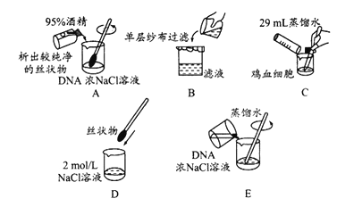 题目下图为dna的粗提取与鉴定实验中的一些操作过程相关叙述正确的是