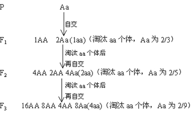 杂合子自交的遗传图解图片