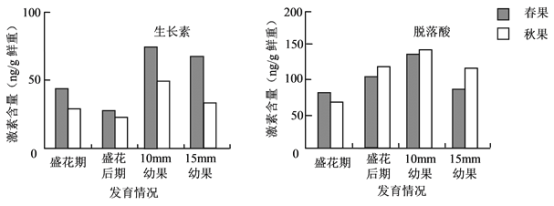 圣佩德罗型无花果一年结实两次第一季为春果第二季为秋果