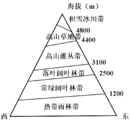 植被带分布图简易图图片