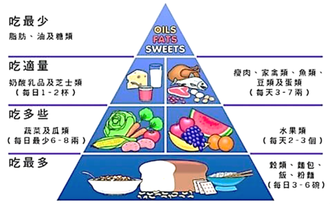 英语食物金字塔图片