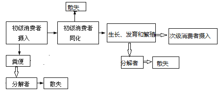 【解析】【答案】全球性出生率种群密度(游隼种群)同化量呼吸作用散失