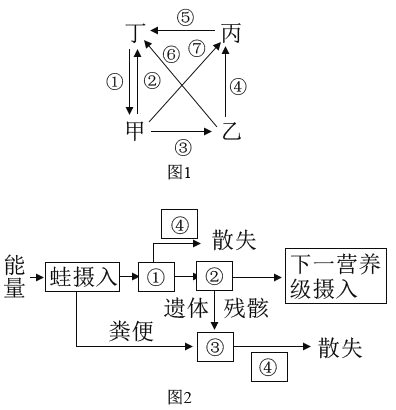 图2是蛙种群的能量流动示意图下列相关叙述正确的是( )a图1中