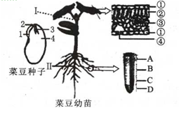 1456899680155240.png