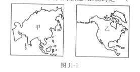 甲所在的大洲人口稠密_鼻甲肥大图片(3)