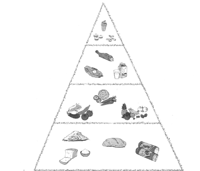 食物金字塔空白图片