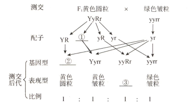 1463554664878300.png